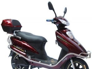 電動(dòng)車(chē)大特價(jià) 低價(jià)甩賣(mài)全新與二手，工廠(chǎng)直銷(xiāo)批發(fā)零售可分期
